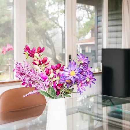 Feriehus 5 Person In Strand-by Traum *